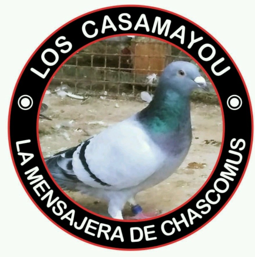 Datos de paloma